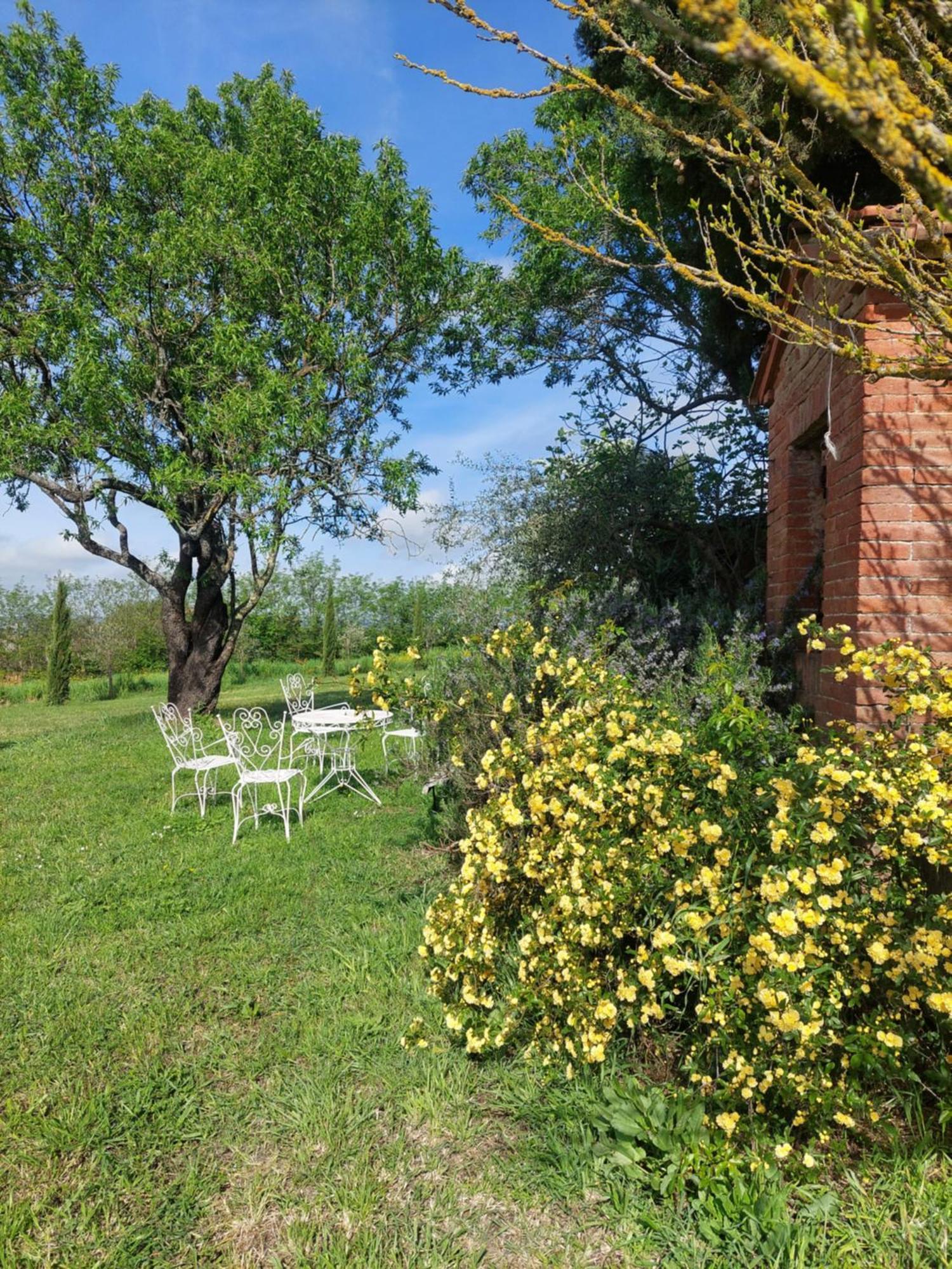 Bed and Breakfast Casa Ezio Marchi Беттолле Экстерьер фото