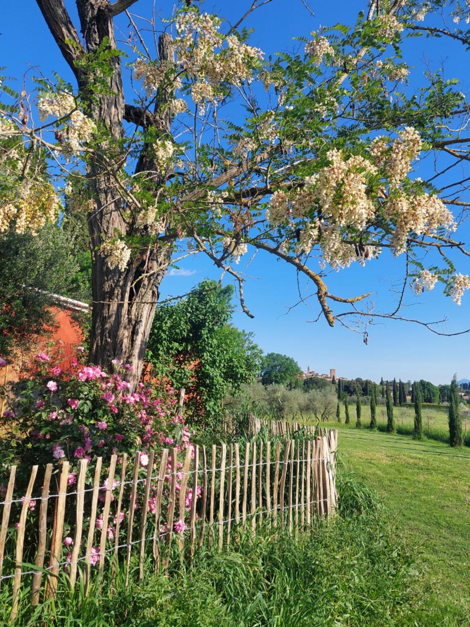 Bed and Breakfast Casa Ezio Marchi Беттолле Экстерьер фото